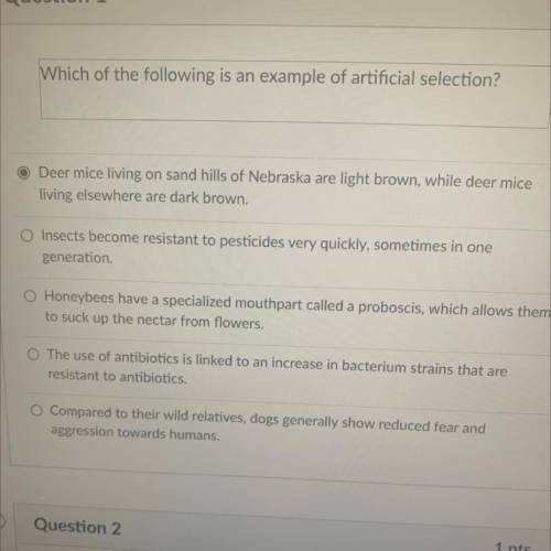 Which of the following is an example of artificial selection?