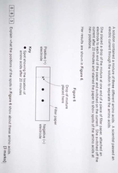 A solution contained a mixture of three different amino acids. A scientist passed an electric curre