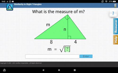 What is the measure of m m=