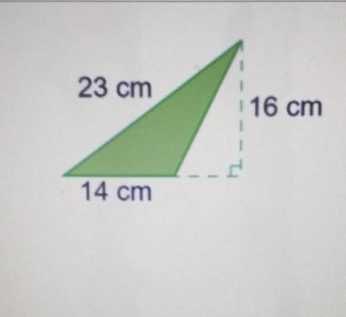 What is the area of the triangle in centimetres Square?​