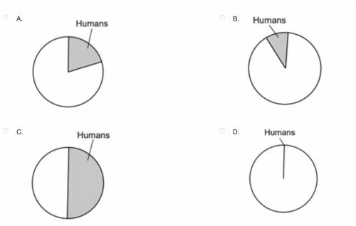 Which pie graph is shaded to best represent the approximate percentage of time that humans have exi