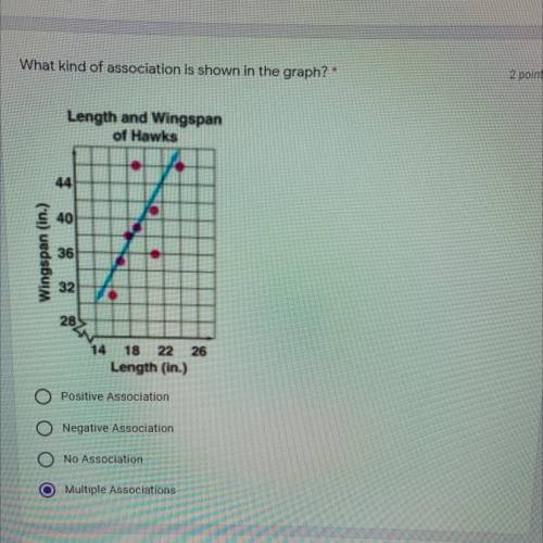 A positive 
B negative 
C none
D multiple