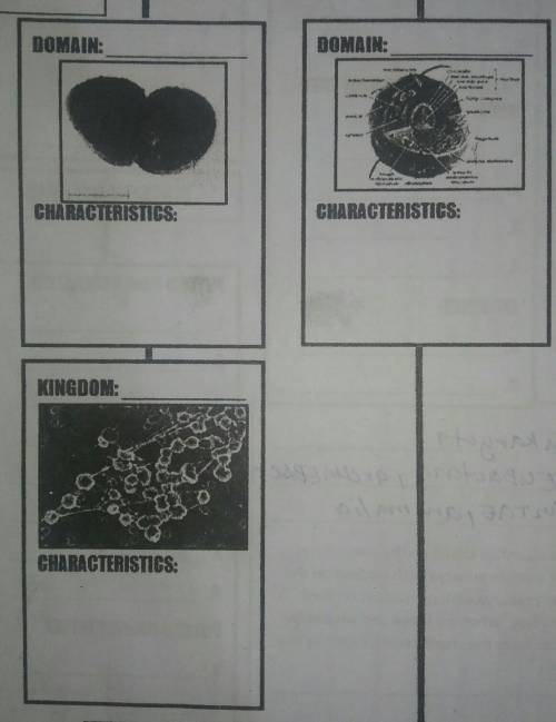 HelpDomain And Characteristic​