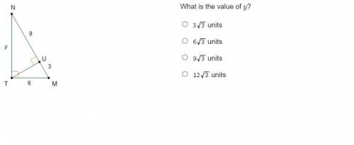 What is the value of y?