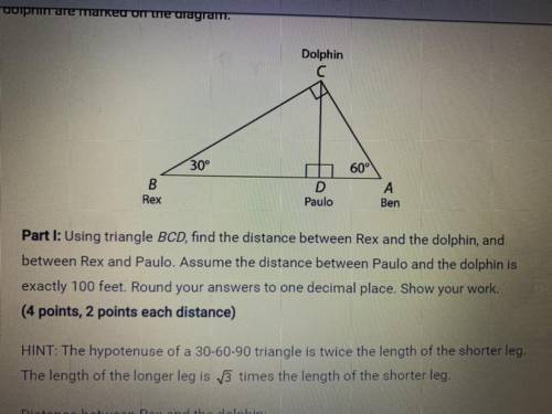 Distance between REX and The dolphin:

distance between Rex and Paulo:
PLEASE HELP ME FIND BOTH!!