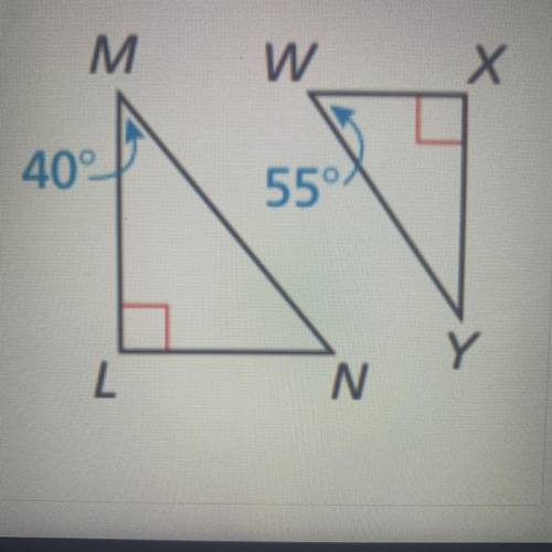 YALL REALLY NEED TO

HELP MEEEE 
determine if the triangles are similar. Why are they similar or n
