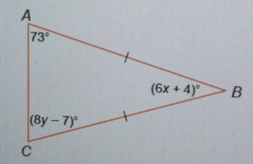 What is the value for X?​