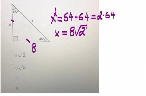 Determine the value of x.
8 2
8 3
4
8