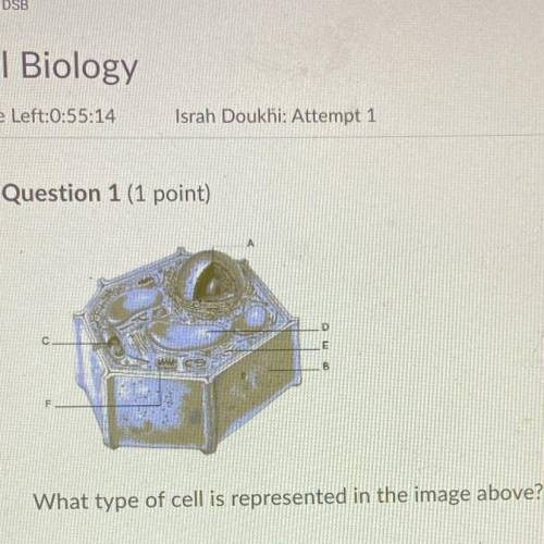 Option :
Bacteriacial cell 
Plant cell 
Animal cell 
All of these are correct answer