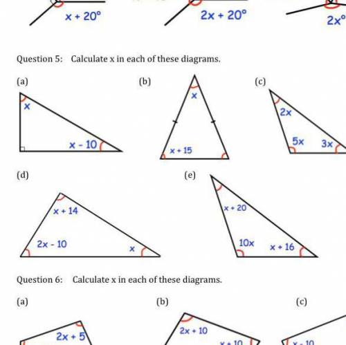 Question 5 can I have as much as you can do please