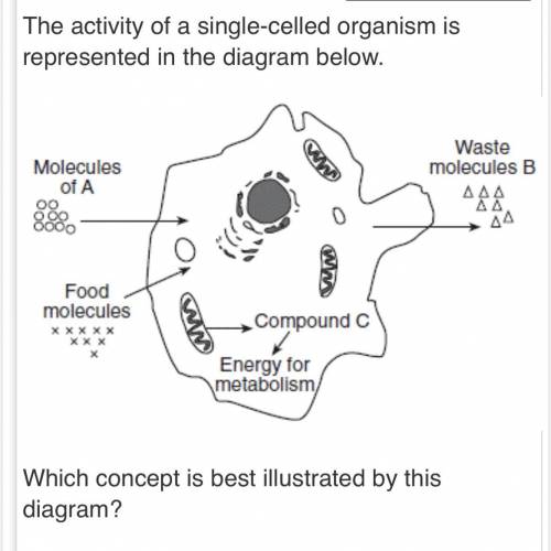 Which concept is best illustrated by this diagram?