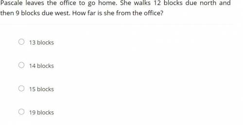 Pascale leaves the office to go home. She walks 12 blocks due north and then 9 blocks due west. How
