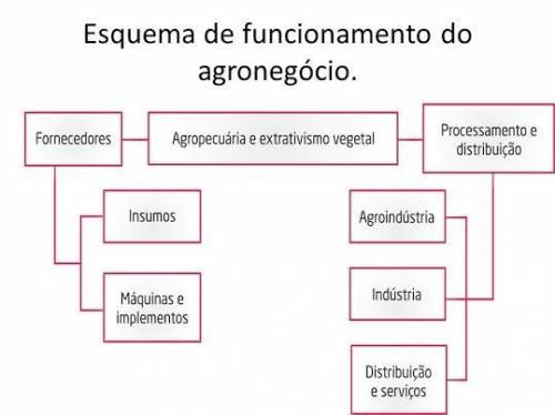 O agronegócio domina hoje a economia brasileira, liderando produção e exportações. O Brasil do sécu