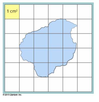 I NEED HELP FOR THIS QUESTION!

On the following figure, one square represents an area of 1 square