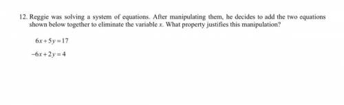 Hey can someone help me with this question?

Reggie was solving a system of equations. after manip