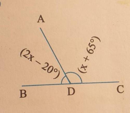 Find the value of 'x' in the given figure​