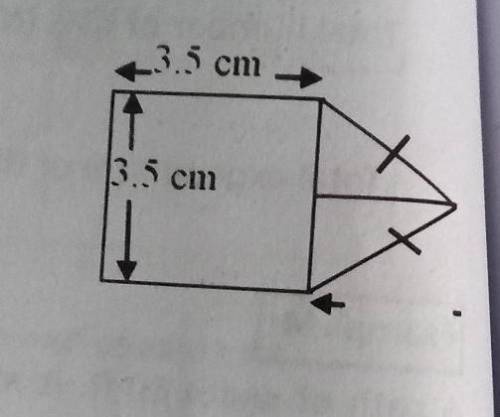 Find both area & perimeter! ​