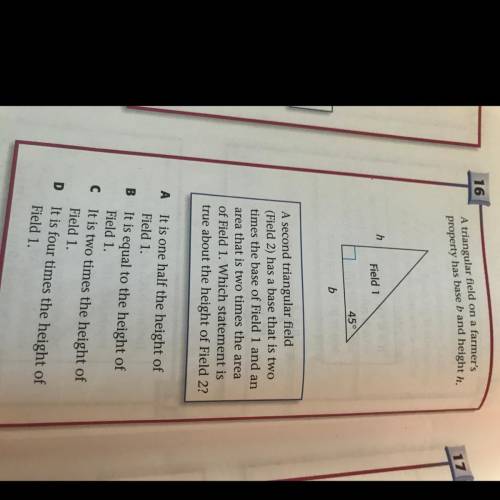 16

17
A triangular field on a farmer's
property has base b and height h.
h
Field 1
45°
b
A second