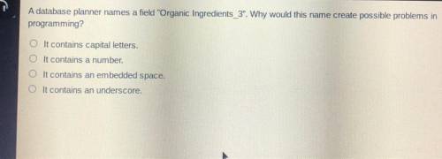 A database planner names a field “Organic ingredients_3”. Why would this name Create possible probl