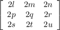 \left[\begin{array}{ccc}2l&2m&2n\\2p&2q&2r\\2s&2t&2u\end{array}\right]