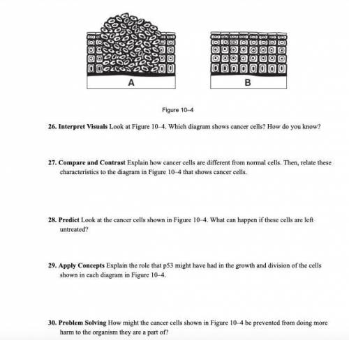 Can anybody help me out with 26-30?
15 points