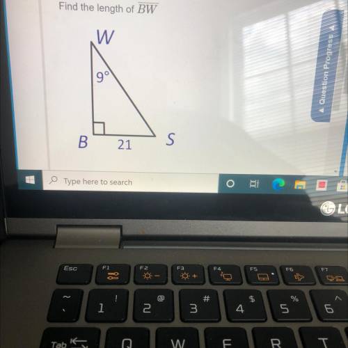 Find the length of BW