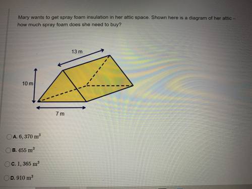 PLS HELP ME ON THIS QUESTION I WILL MARK YOU AS BRAINLIEST IF YOU KNKW THE ANSWER!!