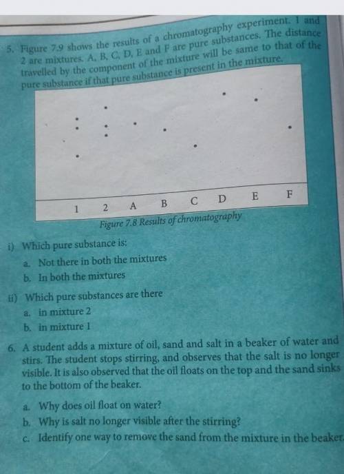 Can you solve question 5 and 6 only​