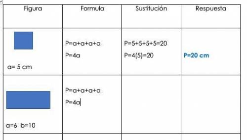 Instructions: Complete the following outline for perimeters