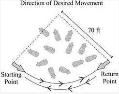 The figure below shows the ideal pattern of movement of a herd of cattle, with the arrows showing t