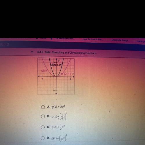 Please help me! 
F(x)=x^2. What is g(x)?