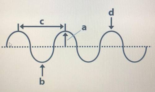 In the diagram, the amplitude of the wave is shown by:
A
B 
C
D