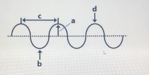In the diagram, the crest of the wave is show by: 
A 
B
C 
D