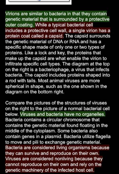 List 3 similarities of a virus and bacteria and give evidence from the text