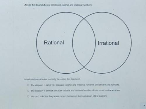 Which statement below correctly describes the diagram​