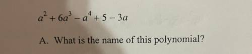 Please help me name the polynomial