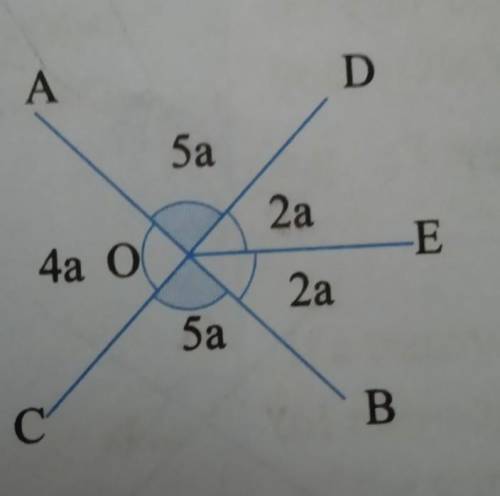 Solve please this question​