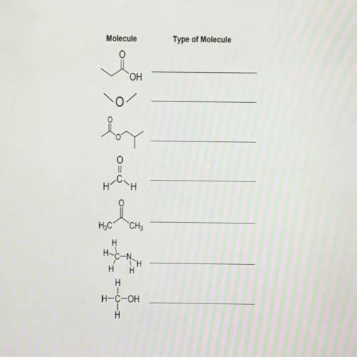 A. Identify the type of molecule shown in the drawing. (2 points)