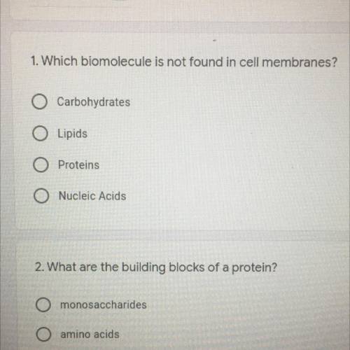 Which bio molecule is not found in cell membrane