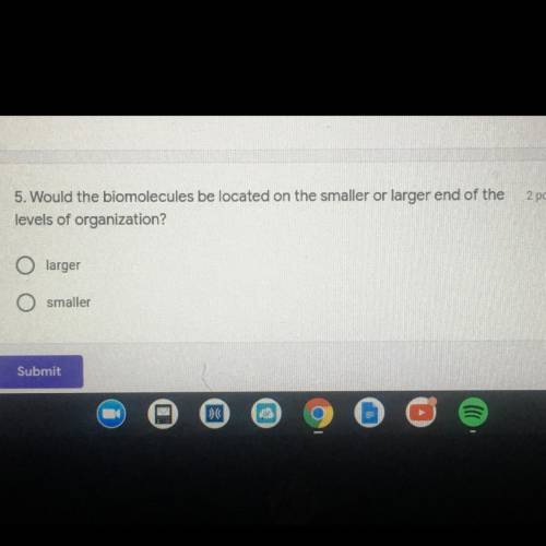 Would the biomolecules be located on the smaller or larger end of the levels or organization