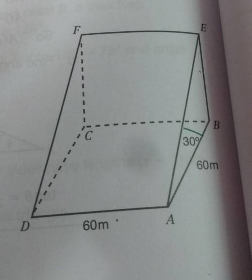 PLZ I need help ASAP!!!

The diagram represents a ski slope. AEFD is a rectangle. ABCD is a square