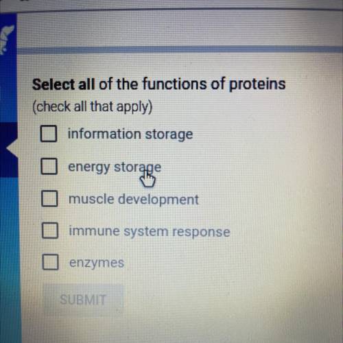 Select all of the functions of proteins

(check all that apply)
information storage
energy storage