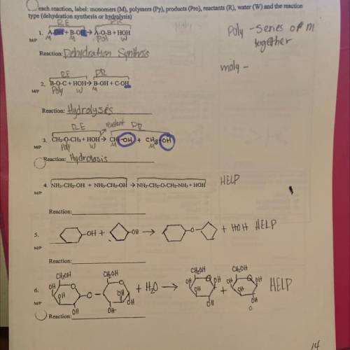 Can anybody help me with my biology work?