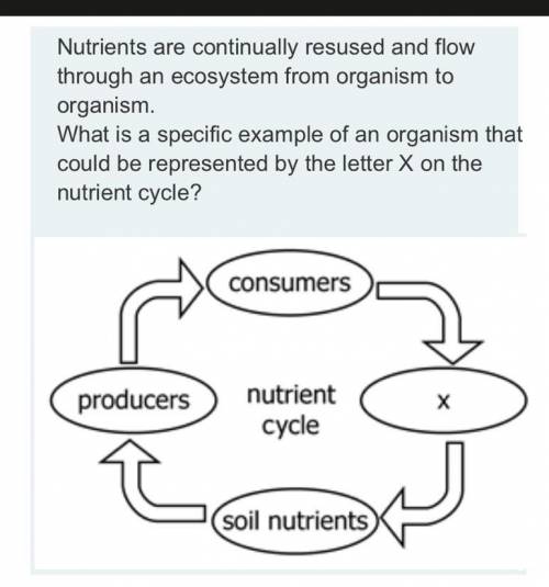 Nutrients are continually resused and flow through an ecosystem from organism to organism.

What i