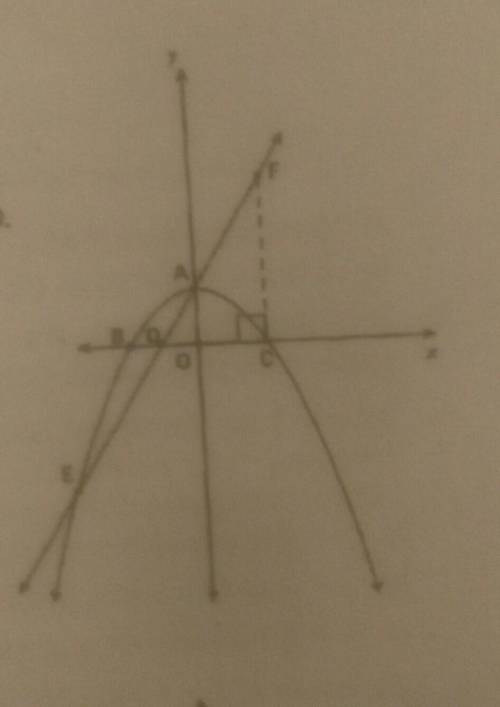 Determine the coordinates of E.

calculate the length of cwrite an expression for g(x)-f(x).for wh