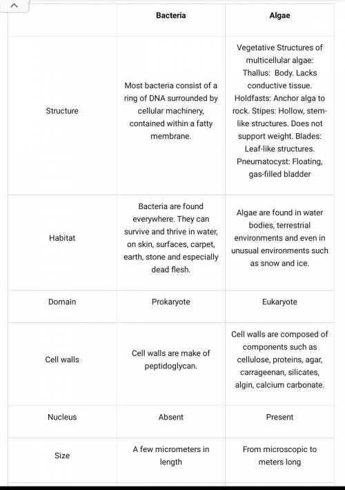 What are the characteristics that distinguish algae from bacteria​