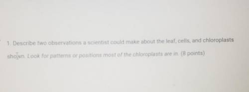 1. Describe two observations a scientist could make about the leaf, cells and chloroplasts shown Lo