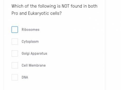 A. Ribosomes
B. cytoplasm
C. Golgi apparatus
D. Cell membrane
E. DNA