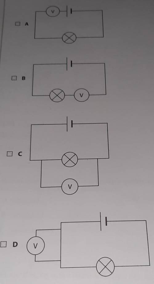 Which circuit is correctly set up to measure the voltage across the bulb?

*I'mma mark brainliest