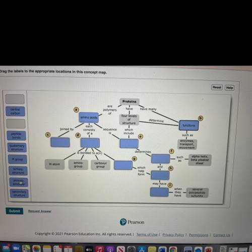 Drag the label to the appropriate locations in this concept map protein